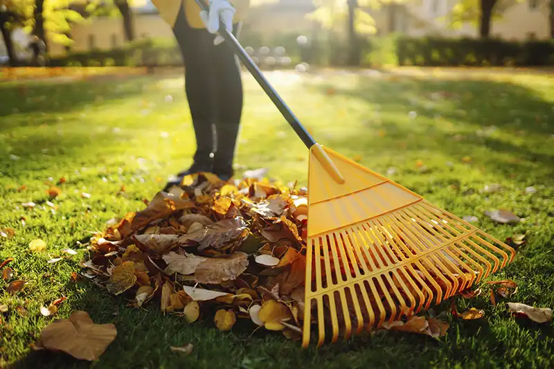 How To Clean A Backyard in Woodbridge, ON 