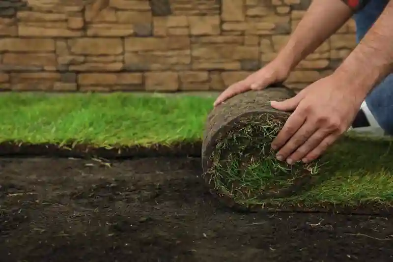 How long after installing sod can you walk on it in Woodbridge, ON 