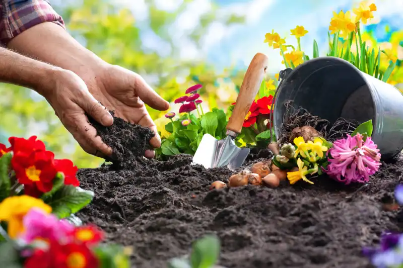 How often should you fertilize your lawn in Woodbridge, ON