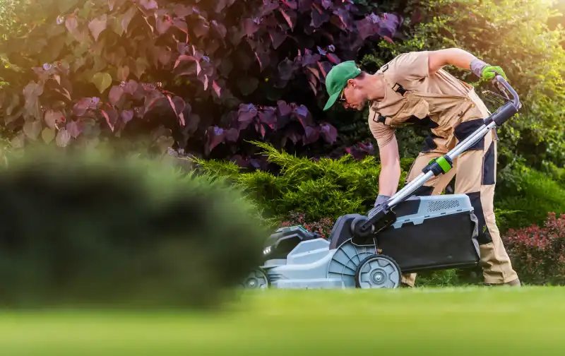 How to mow a lawn in Woodbridge, ON 