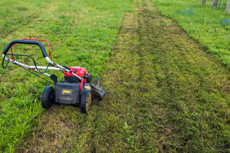 How to mow a lawn in Woodbridge, ON 