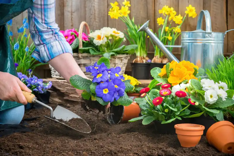 Reliable Mulching Service in Woodbridge, ON 