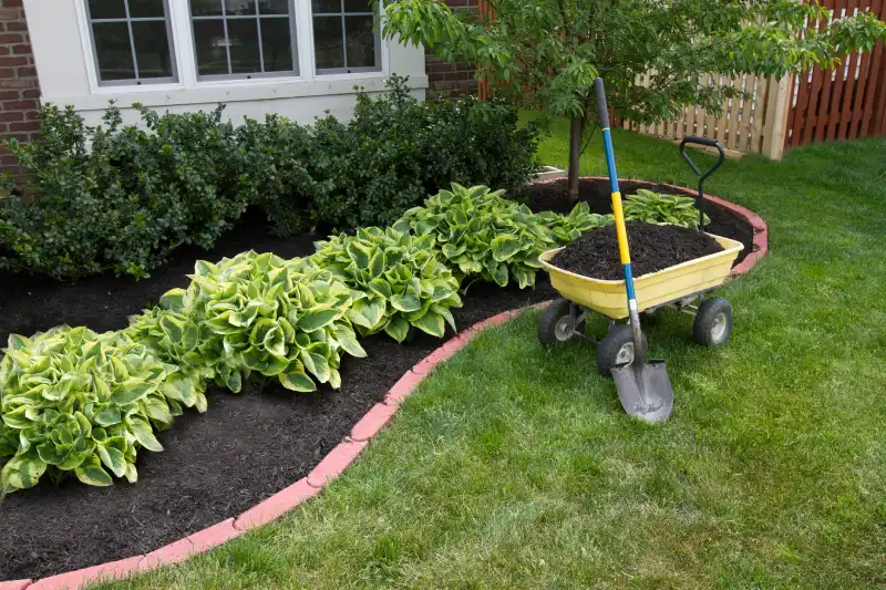 Outstanding Mulching Service in Woodbridge, ON 