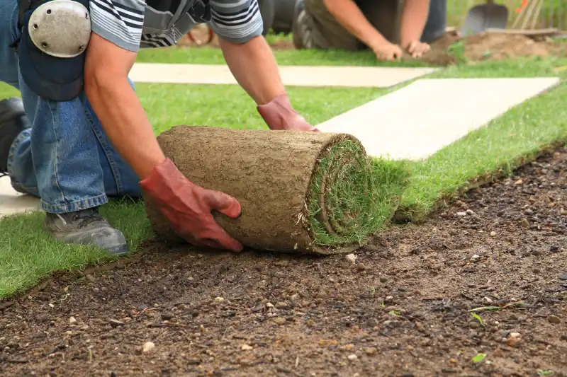 Outstanding Sod Installation Service in Woodbridge, ON 