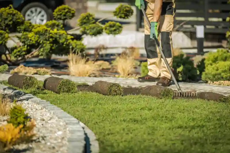 Professional Sod Installation Service in Woodbridge, ON 