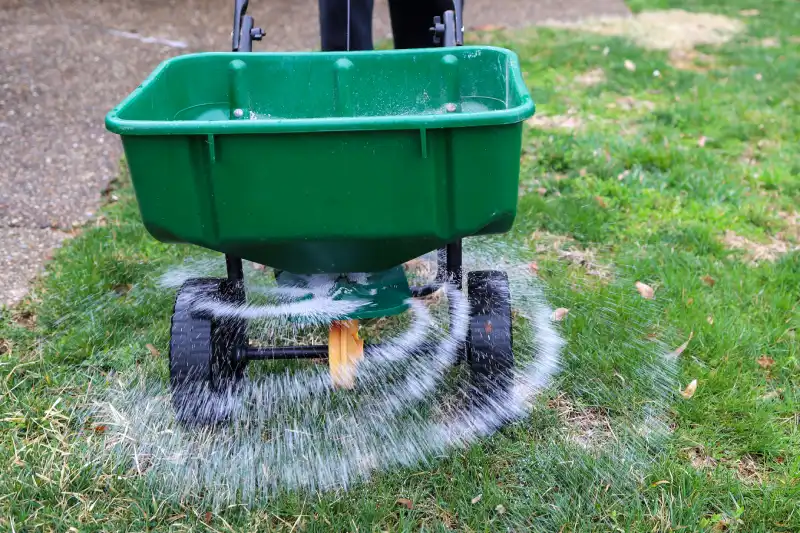 When is the best time to fertilize your lawn in Woodbridge, ON 