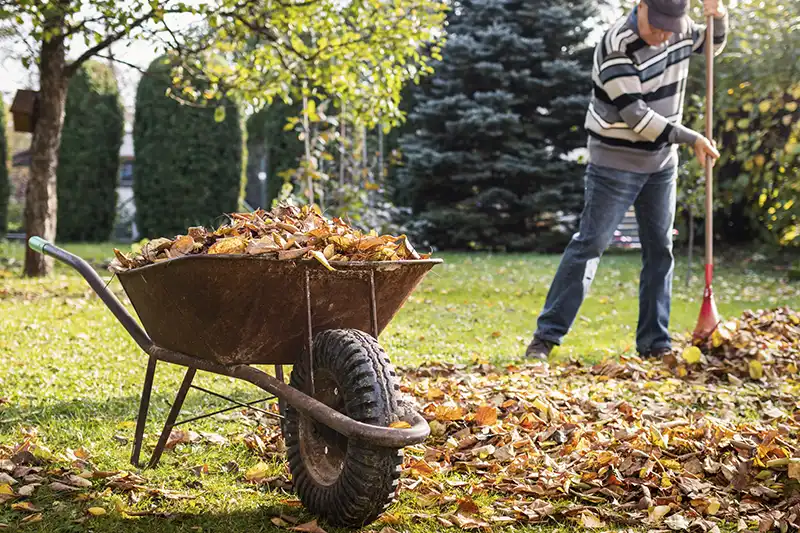 Professional Yard cleanup Service in Woodbridge, ON 