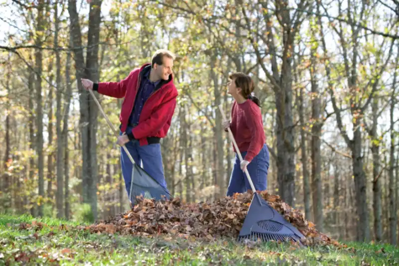 Outstanding Yard cleanup Service in Woodbridge, ON 